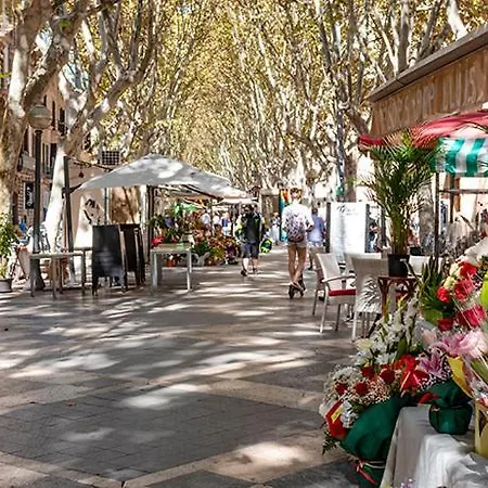 Pensión Rambla Center Palma de Mallorca