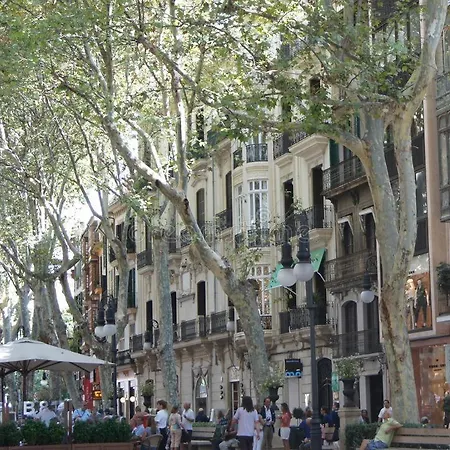 Rambla Center * Palma